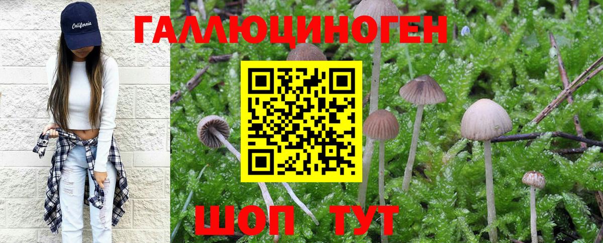 Галлюциногенные грибы GOLDEN TEACHER Ртищево